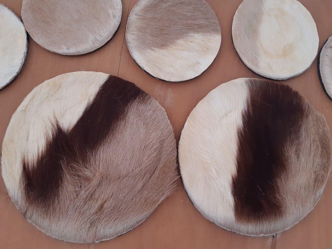 Conjunto de bases de garrafa e copos em pelo