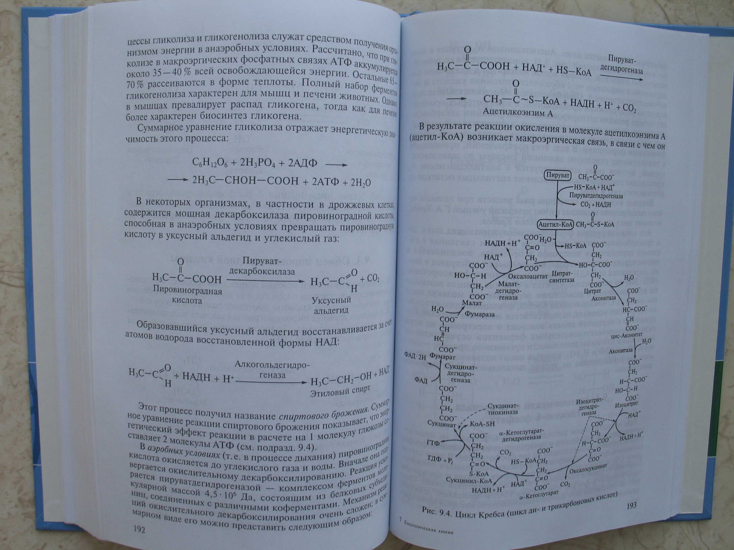 "Биологическая химия" ред. Н.И.Ковалевская, 2008 год
