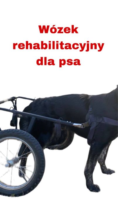wózek rehabilitacyjny dla psów
