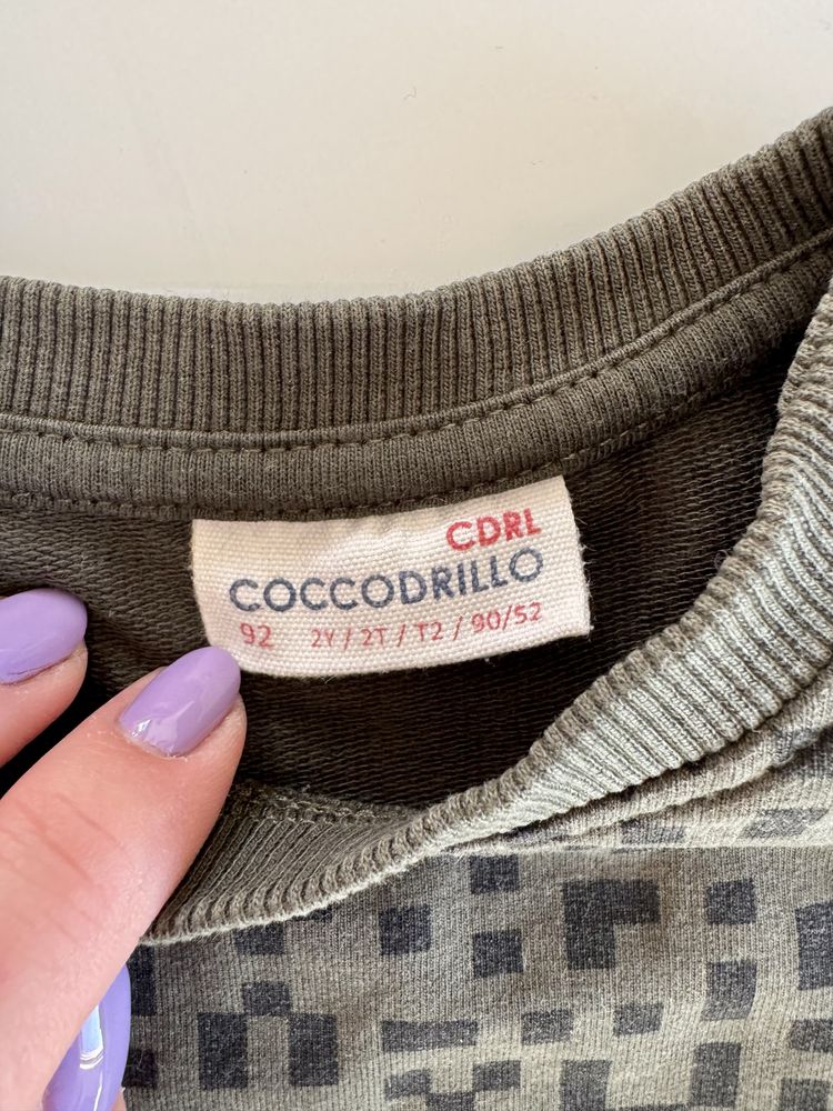 Bluza Coccodrillo rozm 92