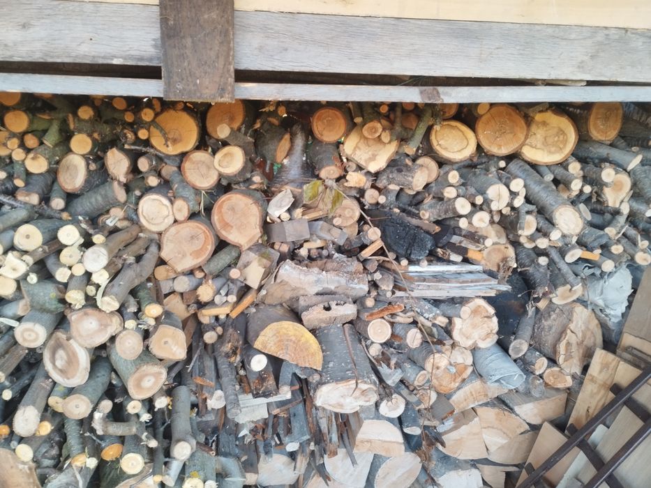 Drewno opałowe twarde.