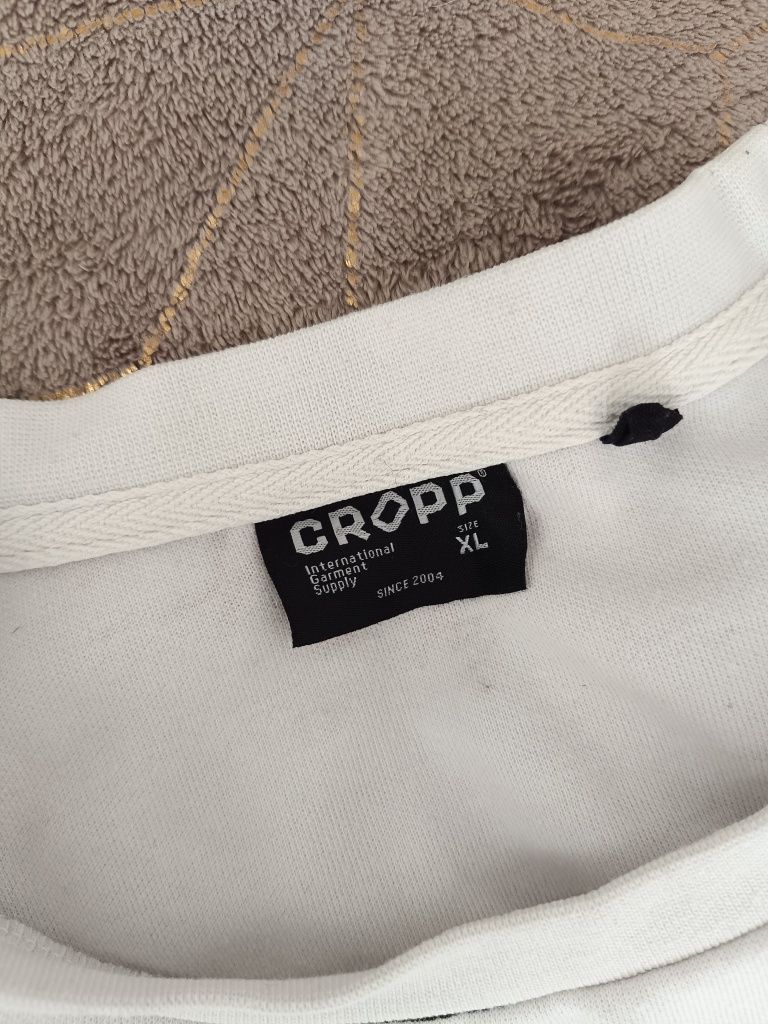 Bluza męska Cropp xl