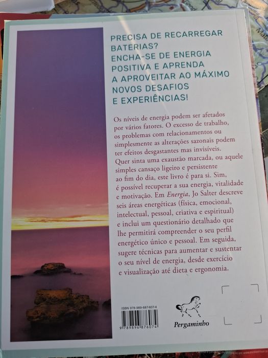 Livro Energia descubra o seu perfil de energia