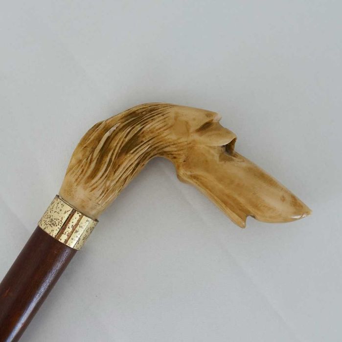 Bengala "Cabeça de Galgo"