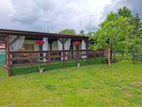 Domek holenderski