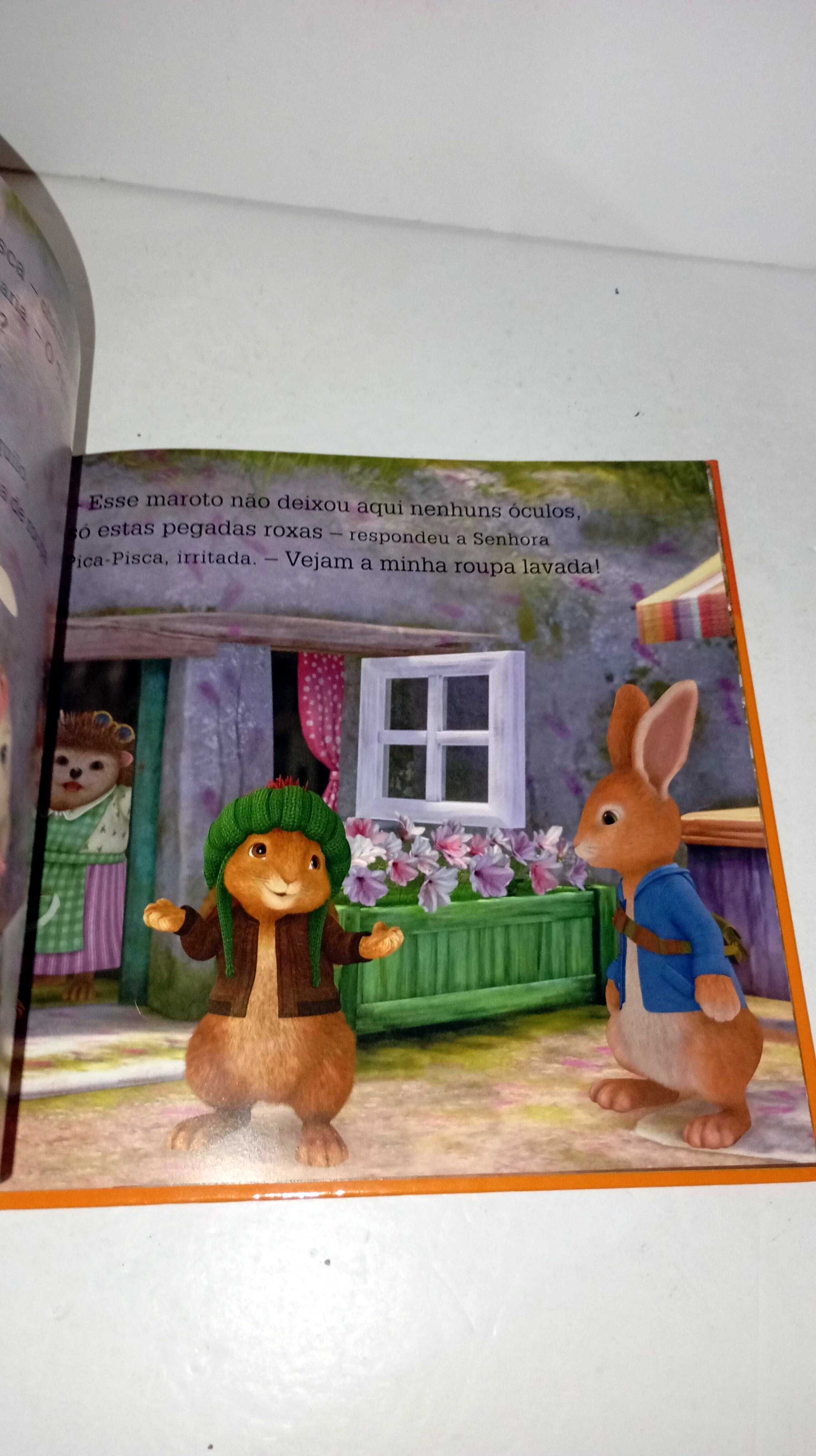 O Pedrito Salva o Dia - Pedrito Coelho