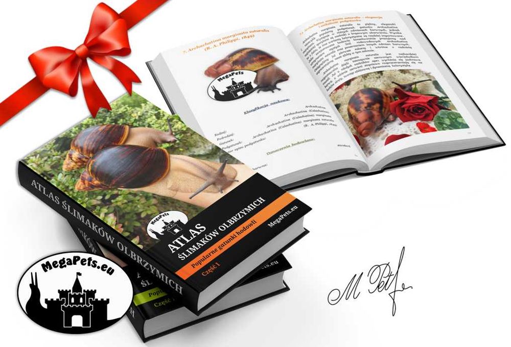 Podłoże kokosowe Torf Premium dla ślimaków Achatina Lissachatina