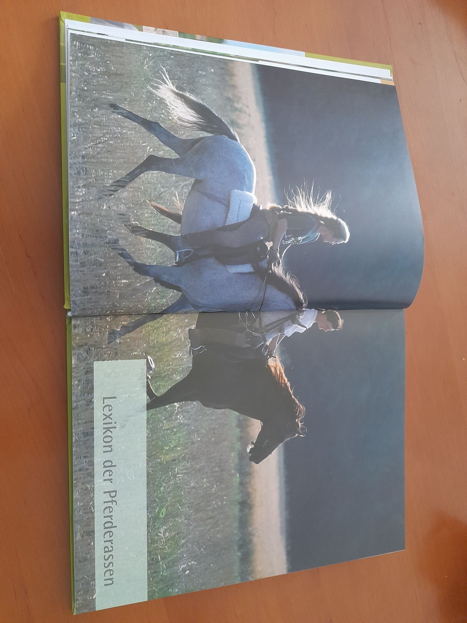 Książka Konie "Pferde rassen,haltung,sportarten,pflege" fot