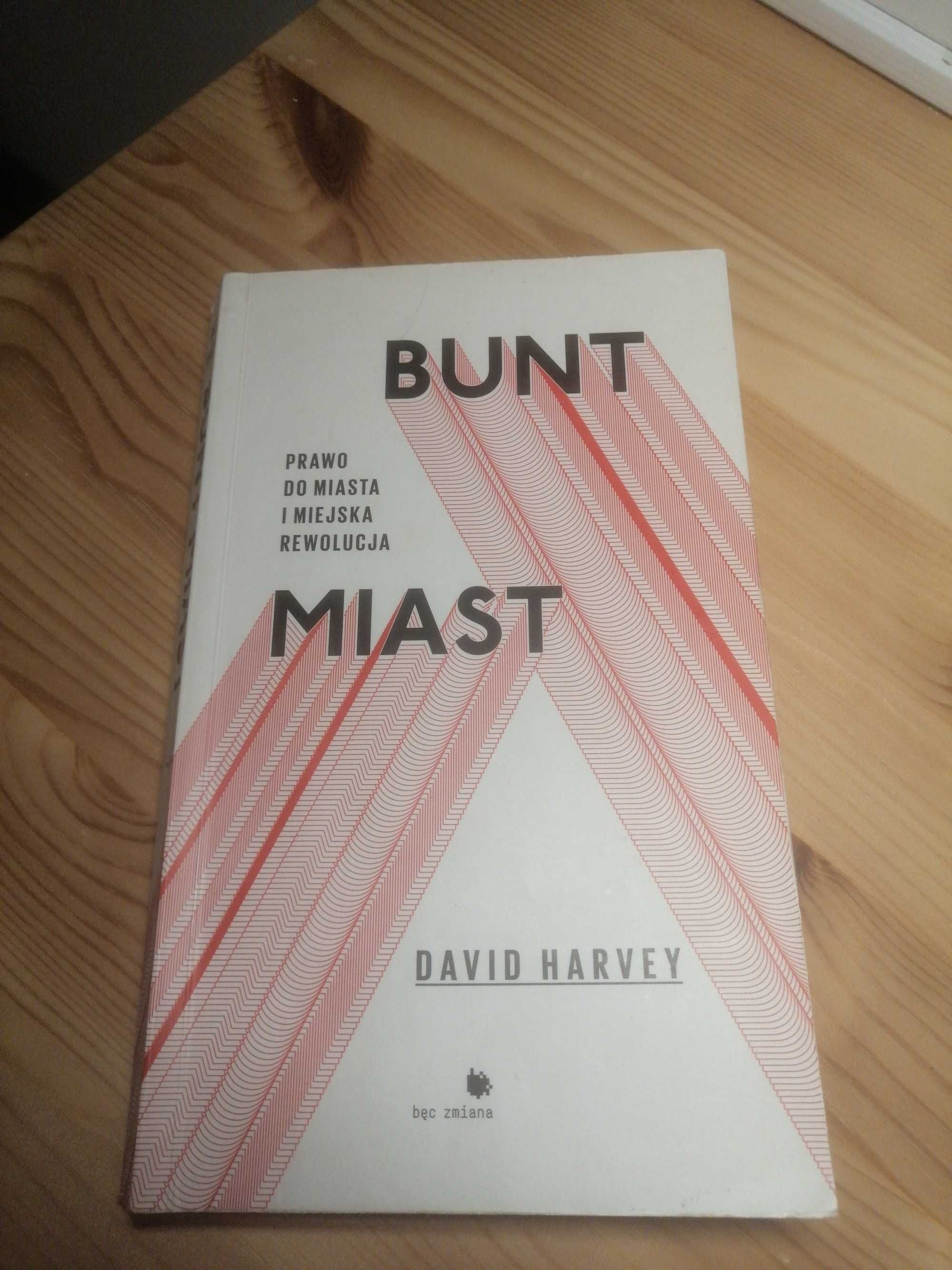David Harvey Bunt miast