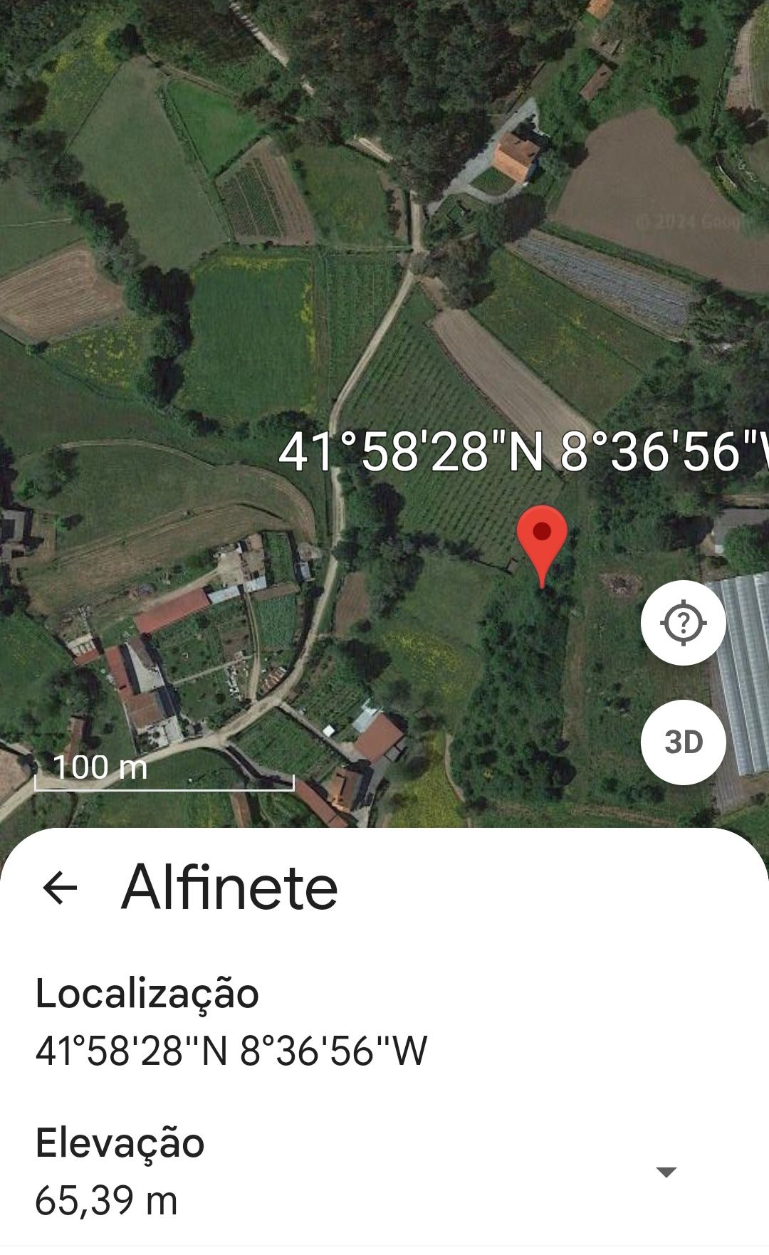 Terreno com plantação Alvarinho