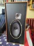 Monitory Dantax gr 25