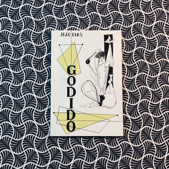 Godido e Outros Contos - João Dias