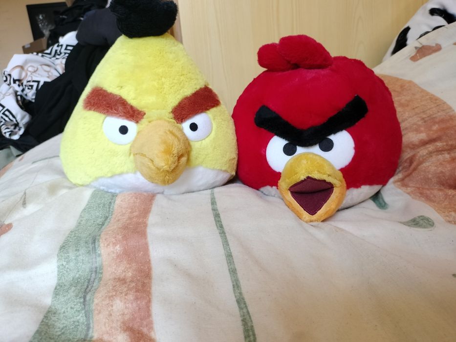 Ptaki angry birds