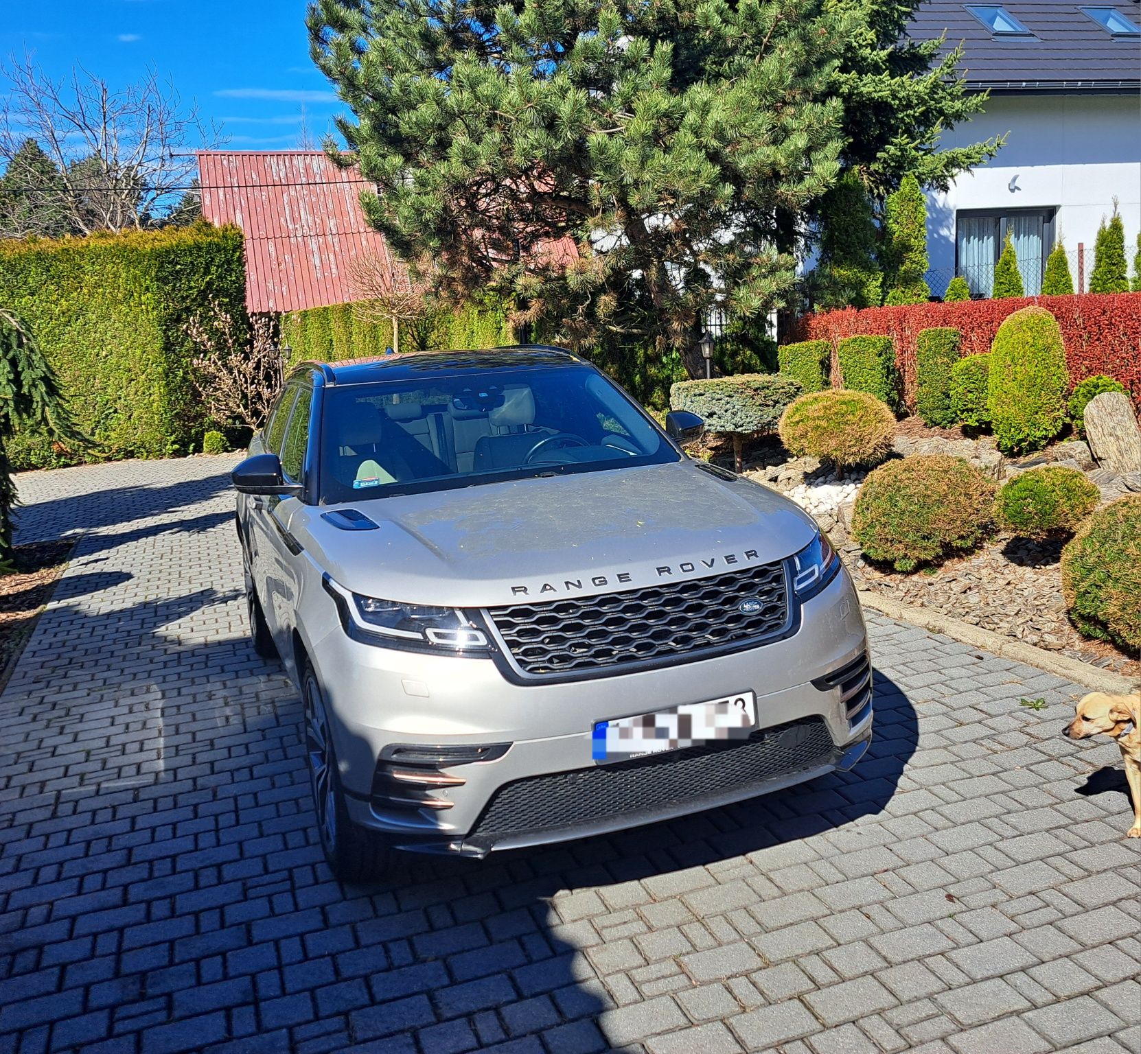 Range Rover Velar, salon Polska, pierwszy właściciel ,Land rover,