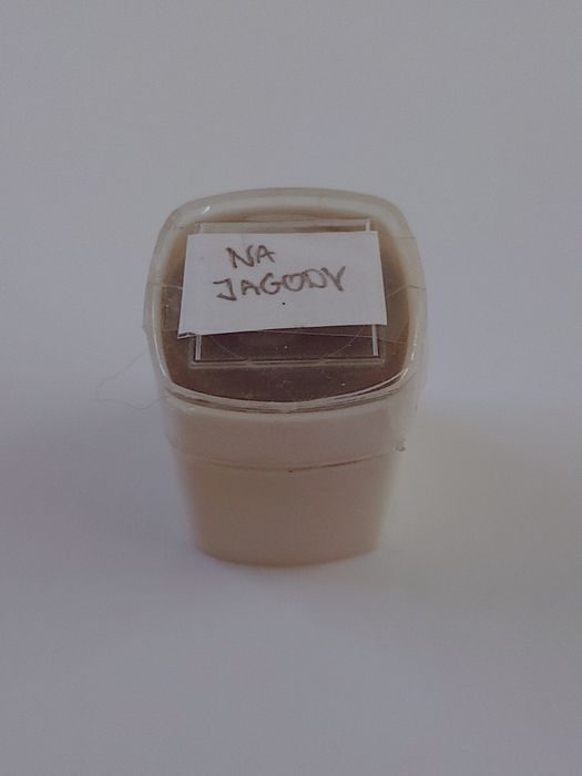 Bajka na rzutnik NA JAGODY bajki na kliszach PRL retro Ania Jacek