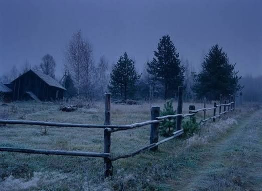 Щукаю диляну в броварах