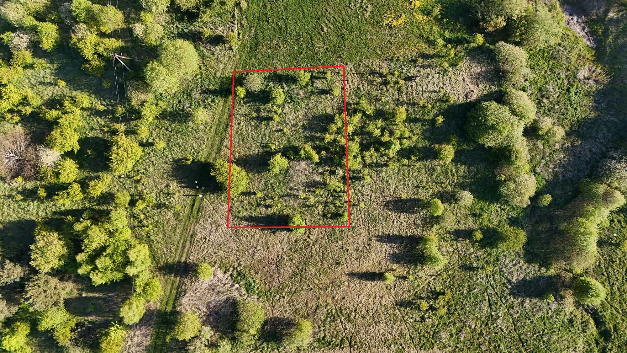 Piękna działka budowlana na wzniesieniu, Skrzeszewo Żukowskie, 1000 m²