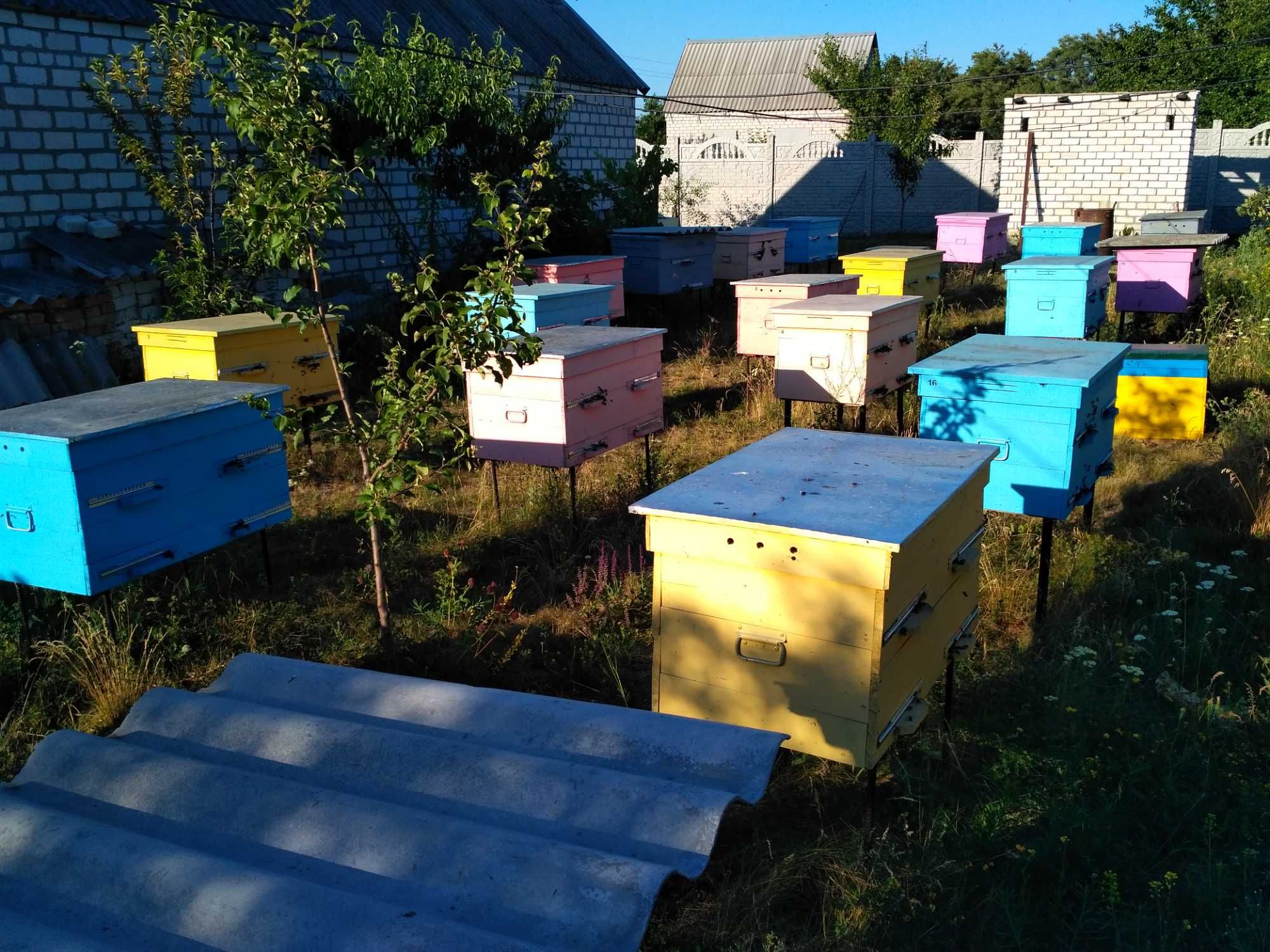 Бджолопакети Української степової
