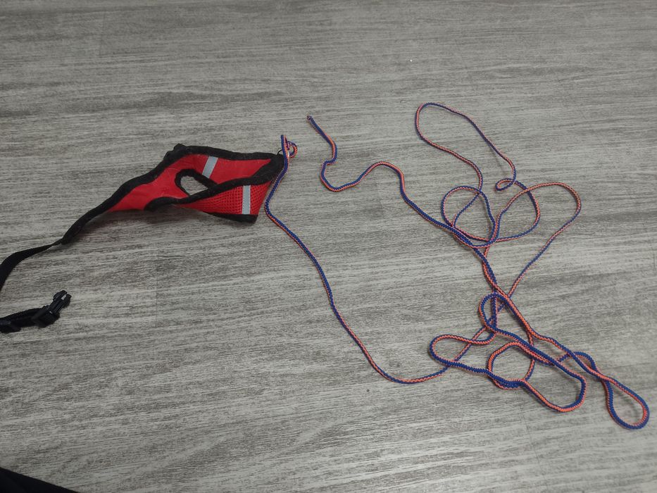 Sprzedam dla kota obrożę i smycz 350 cm.