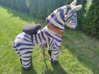 Zebra konik mechaniczny
