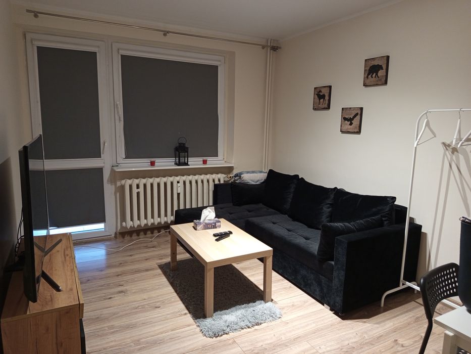 Trzy pokoje do wynajęcia