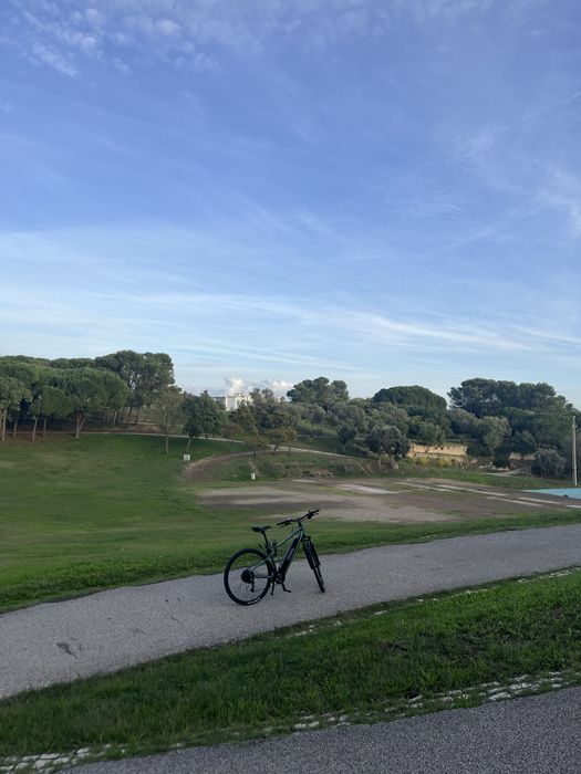 Bicicleta trekking elétrica Riverside 500E