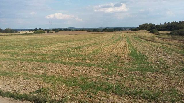 Poznań, działka budowlana, z warunkami zabudowy, Morasko