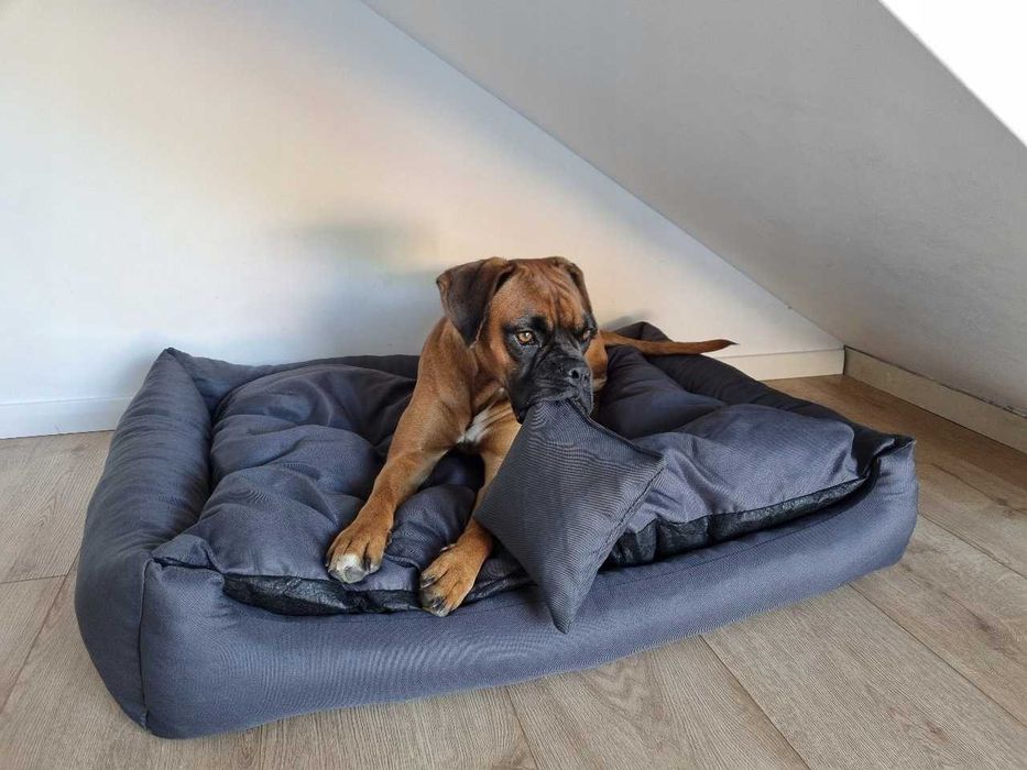 Komfortowe legowisko PREMIUM nowe materiał tapicerski haft z imieniem