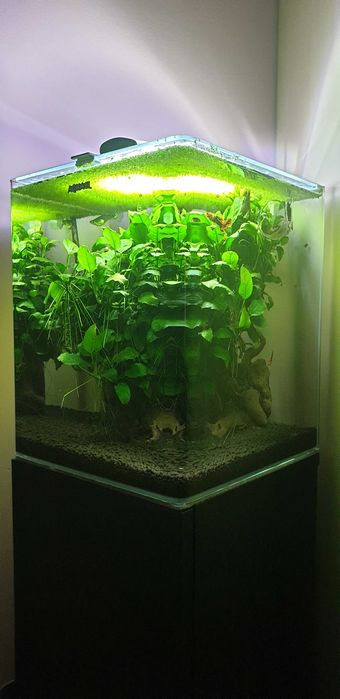 Aquael Optibent 30 optiwhite + szafka + filtry +życie