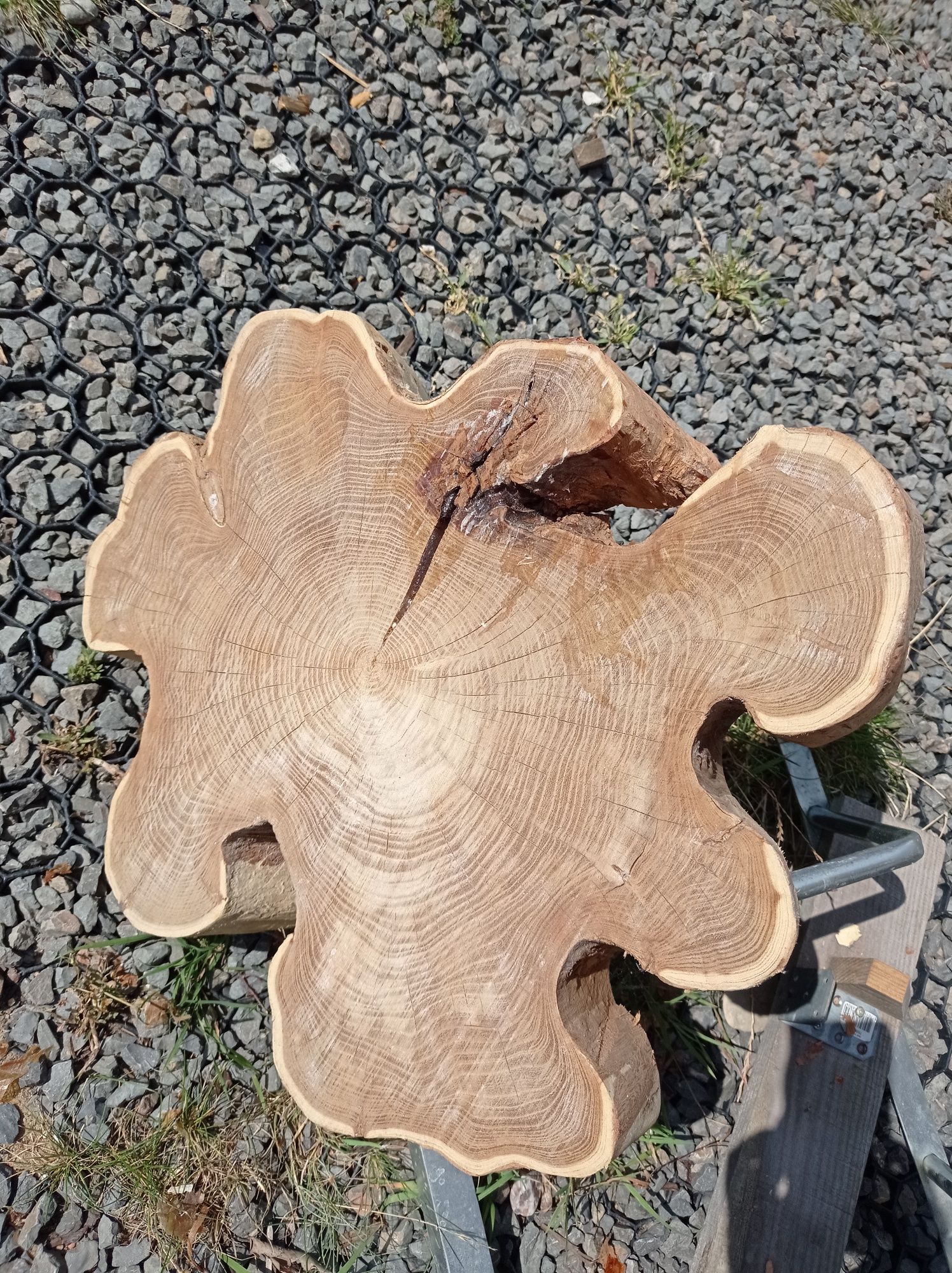 Plater drewna na stolik