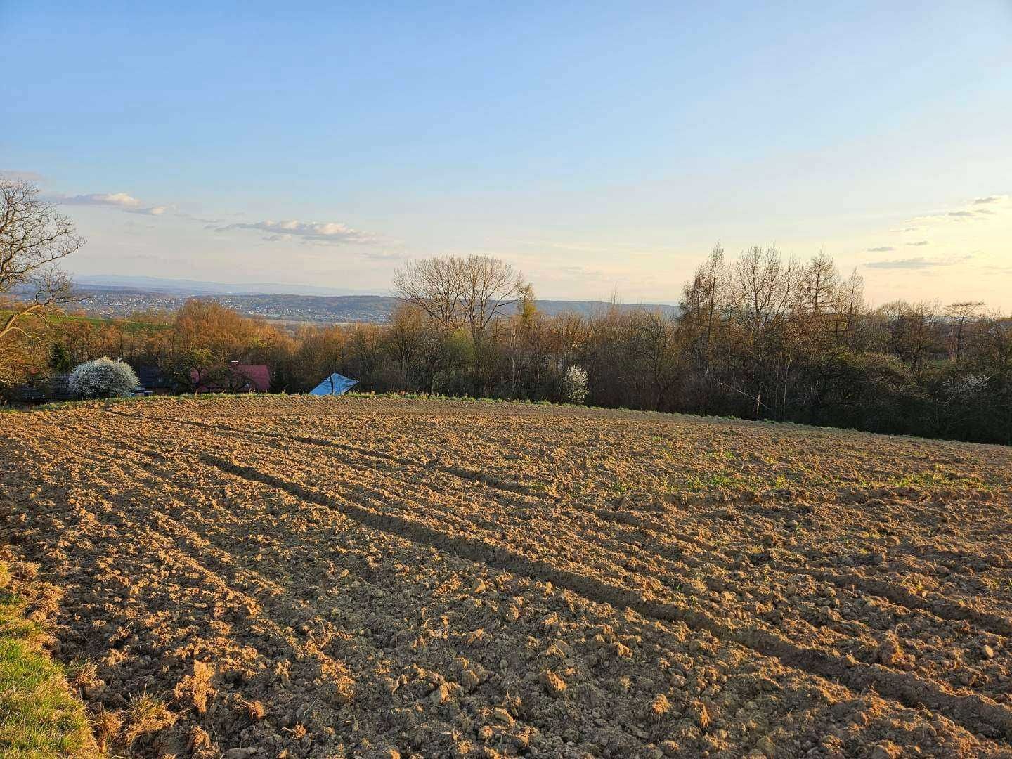Działka ponad 60 arów - Bolechowice