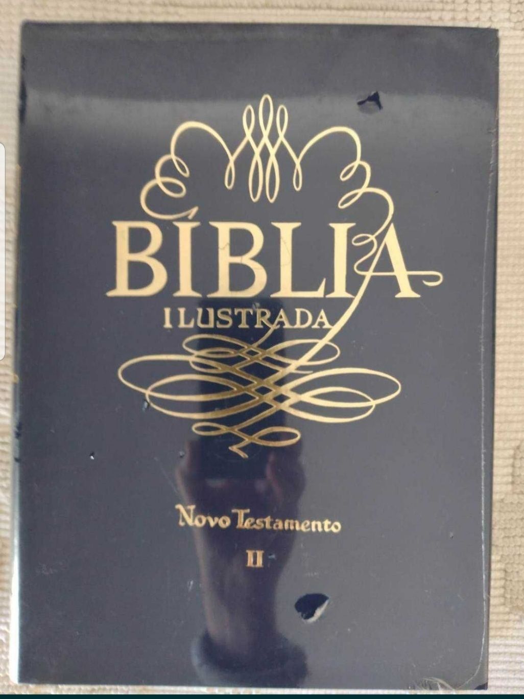 Bíblia Sagrada ilustrada Antigo e Novo testamento - 7 livros novos