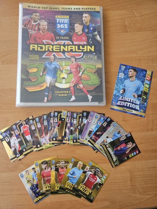 Karty piłkarskie 2025 album Panini Fifa 365