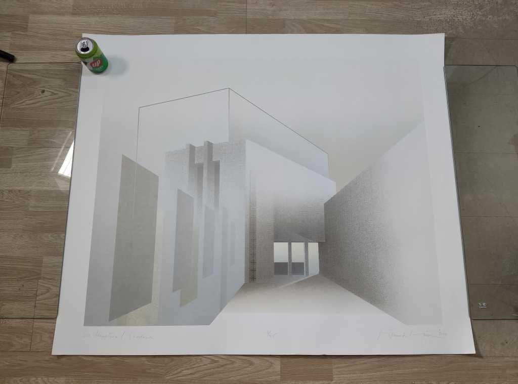 RARO, Serigrafia, Richard Davies, Limited edition
