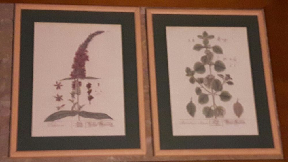 Quadros