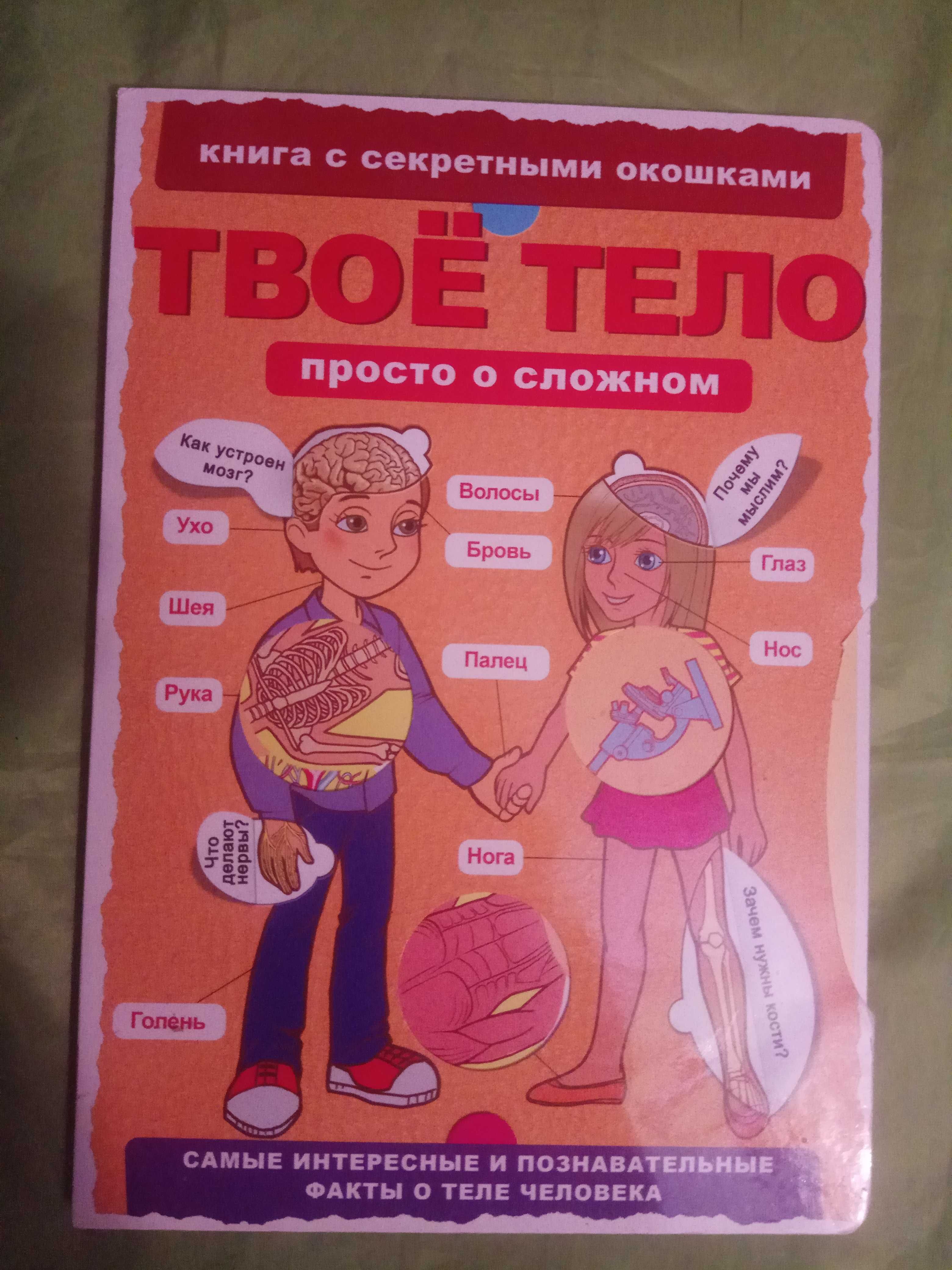 Книжка для детей Твоё тело с секретными окошками