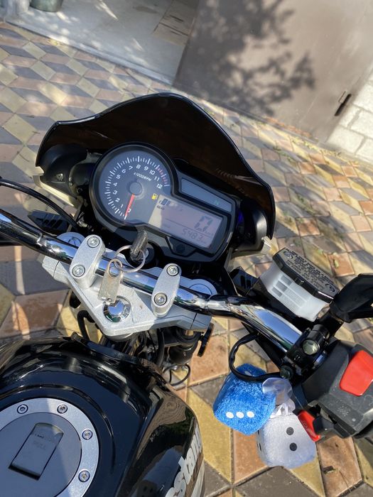 Мусстанг регион 150 / Musstang region