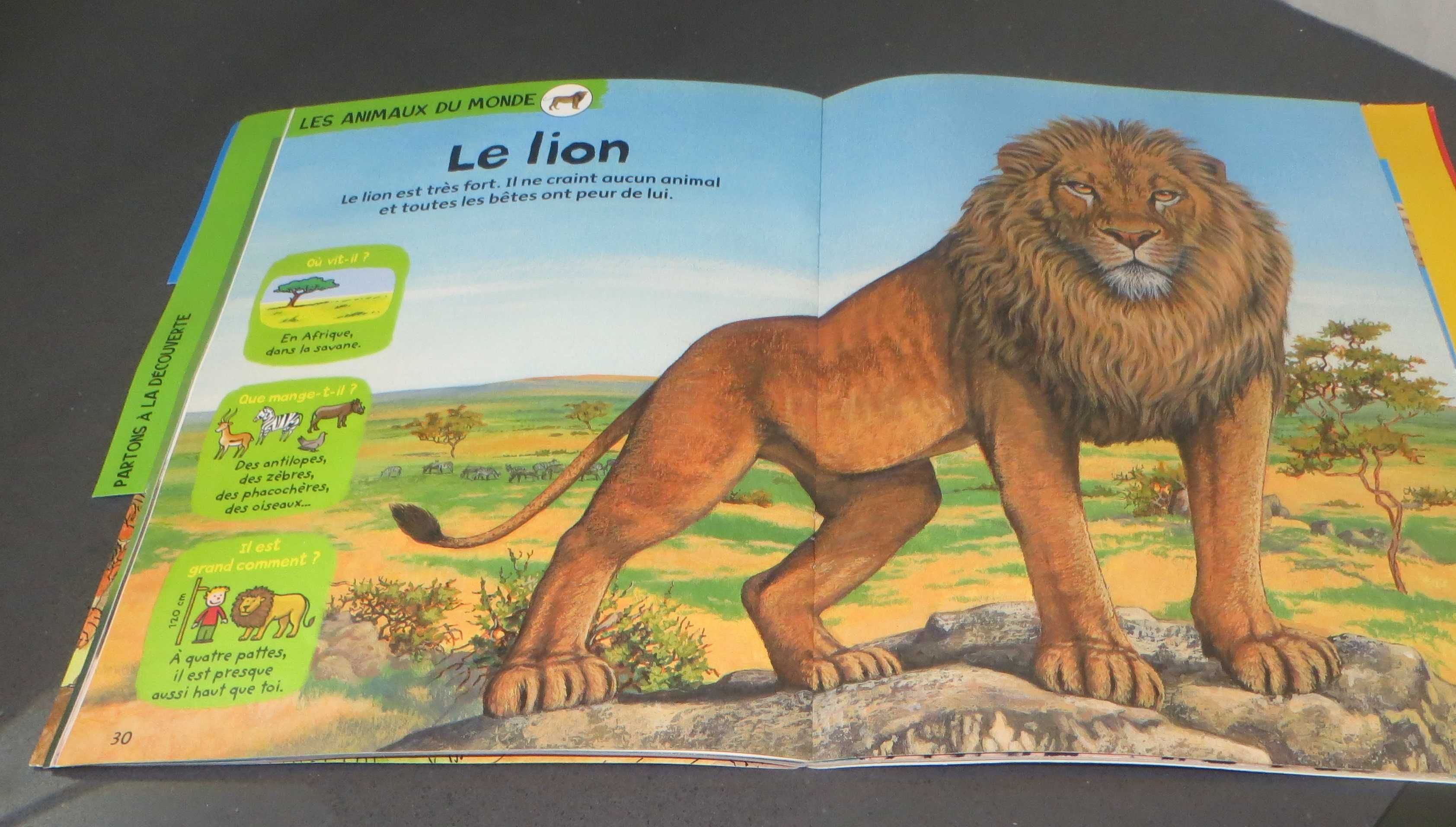 Livro Le Roi Lion Aprender a desenhar um Leão Francês - Oferta DVD