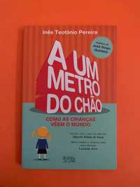 A Um Metro do Chão - Inês Teotónio Pereira