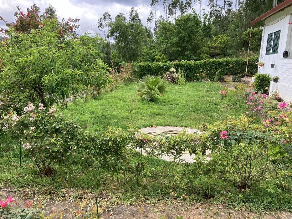 Jardinagem e Limpeza de Terrenos