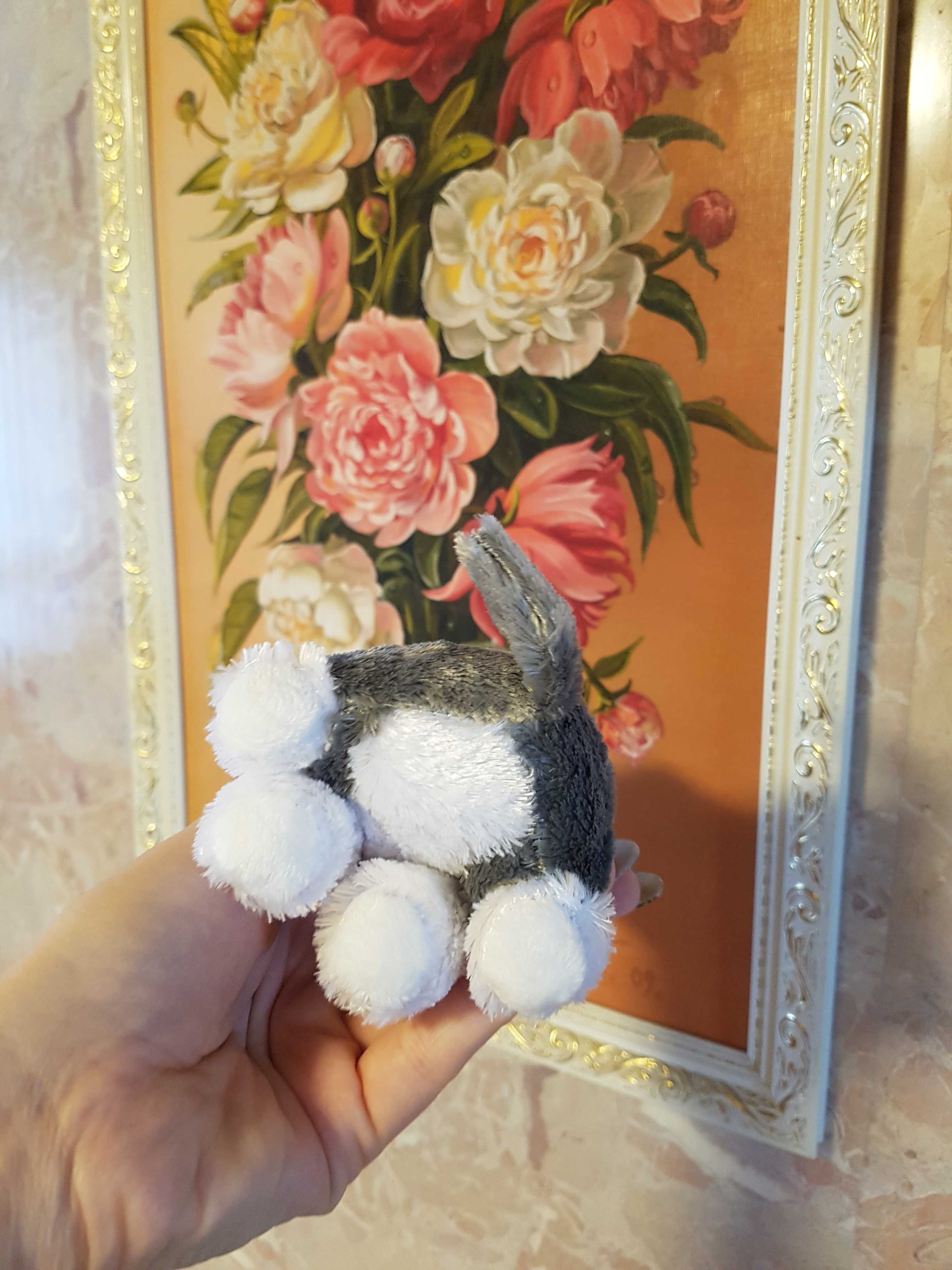 TY Beanie Boos глазастик собака хаски, волк 15 см