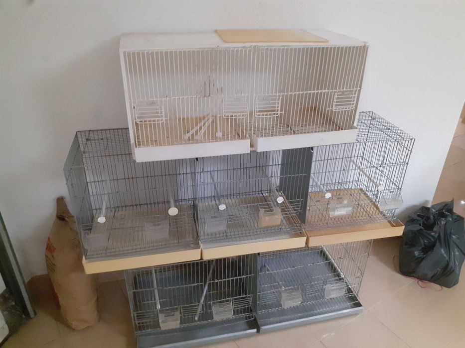Viveiros para aves em bom estado (1m/1.20m/0.77m)