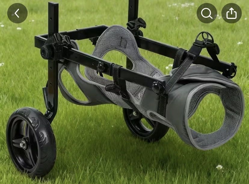 Carrinho para cao medio, caes com problemas patinhas