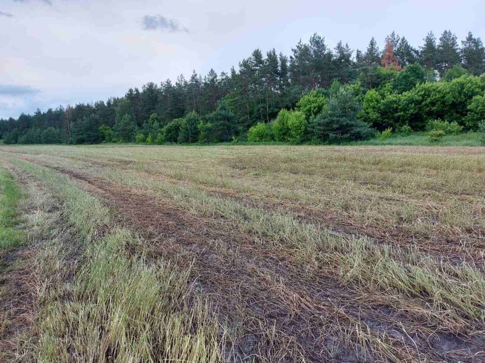 Продам земли  – 0,8 га на берегу водоема