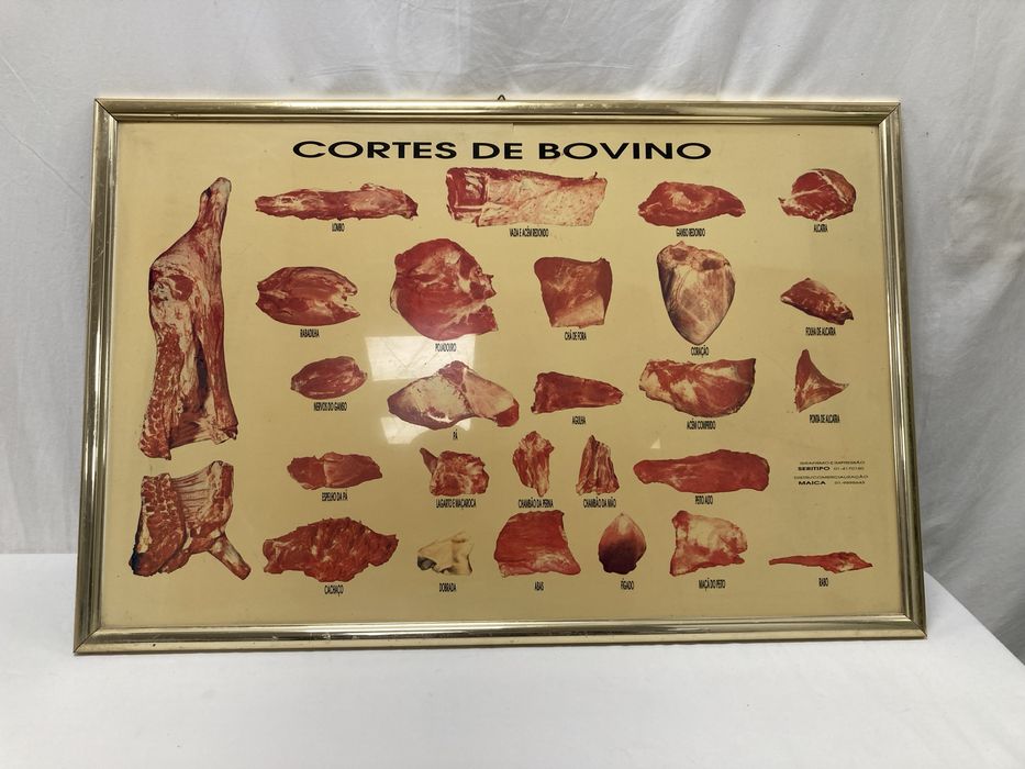 Quadros antigos de cortes de carne