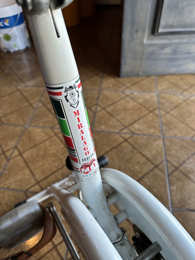 Bicicleta fixa Miralago Agueda
