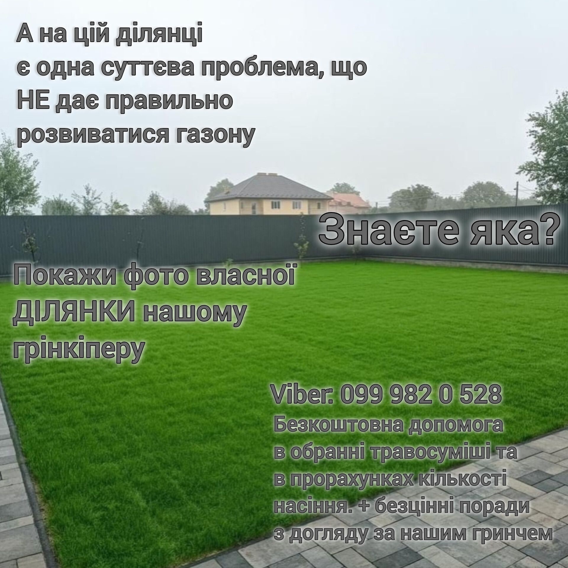 Газонний комплекс спорт міні газон-ліліпут 5кг