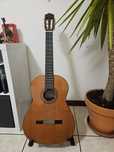 Guitarra clássica António Aparicio