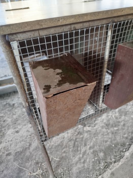 Металеві клітки для кроликів, птахів.