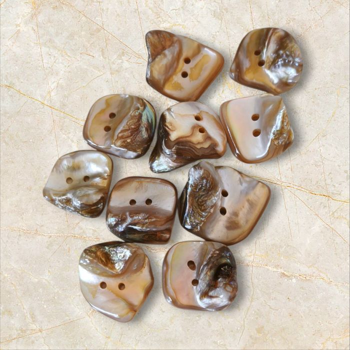 Botões de concha natural